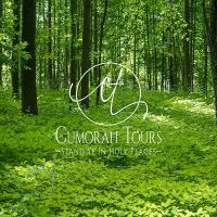 Cumorah Tours image 1